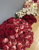 Анкета проститутки Майя - метро Сокол, возраст - 25